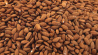Carter et al. compared postprandial changes in appetite-regulating hormones and self-reported appetite ratings after consuming almonds or an isocaloric carbohydrate-rich snack bar. Image credit: PIRO.