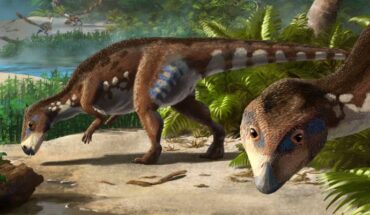 Transylvanosaurus platycephalus. Image credit: Peter Nickolaus.