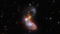 This Webb image shows the merging galaxy pair ZW II 96. Image credit: NASA / ESA / CSA / Webb / L. Armus / A. Evans / Hubble Heritage Team / STScI / AURA / Hubble Collaboration.