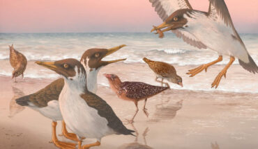 Life reconstruction of Janavis finalidens. Image credit: Phillip Krzeminski.