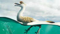 Life reconstruction of Natovenator polydontus. Image credit: Yusik Choi.