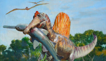 Spinosaurus aegyptiacus was adapted for hunting along shorelines instead of venturing deep underwater. Image credit: James Gurney.