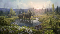 Reconstruction of the Kap København Formation ecosystem 2 million years ago. Image credit: Beth Zaiken.