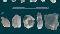 The flint chips from Schöningen, Germany, which were created as ‘waste’ during the re-sharpening of knife-like tools; they are sorted by size in millimeters. Scale bar - 3 cm. Image credit: Flavia Venditti.