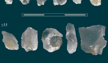 The flint chips from Schöningen, Germany, which were created as ‘waste’ during the re-sharpening of knife-like tools; they are sorted by size in millimeters. Scale bar - 3 cm. Image credit: Flavia Venditti.