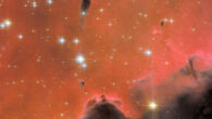 This Hubble image shows a free-floating evaporating gaseous globule (small tadpole-shaped dark region in the upper center-left) within the emission nebula Westerhout 5. Image credit: NASA / ESA / Hubble / R. Sahai.