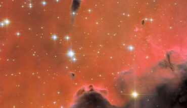 This Hubble image shows a free-floating evaporating gaseous globule (small tadpole-shaped dark region in the upper center-left) within the emission nebula Westerhout 5. Image credit: NASA / ESA / Hubble / R. Sahai.