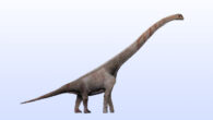 An artist’s impression of a sauropod dinosaur. Image credit: Levi Bernardo / CC BY-SA 3.0.