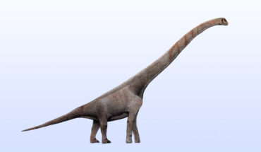 An artist’s impression of a sauropod dinosaur. Image credit: Levi Bernardo / CC BY-SA 3.0.