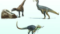 Early dinosaurs and their diets: Lesothosaurus is an omnivore, Buriolestes is a carnivore, and Thecodontosaurus is an herbivore. Image credit: Gabriel Ugueto.