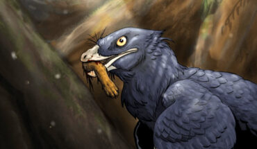 Life reconstruction of Microraptor zhaoianus eating the foot of a small mammal. Image credit: Ralph Attanasia III.