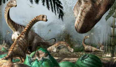 Adult individuals of Europasaurus holgeri watch over the newly-hatched chicks which are leaving the nest to join their herd. Image credit: Davide Bonadonna.