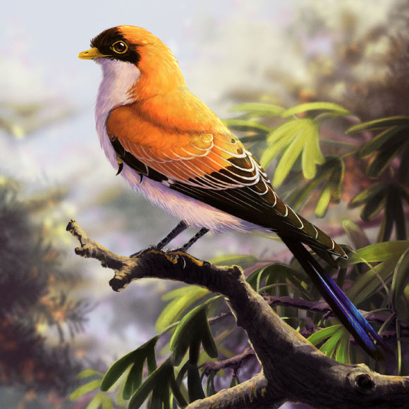 An artist’s impression of an enantiornithine bird. Image credit: Tiny Longwing / CC BY-SA 4.0.