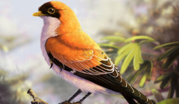 An artist’s impression of an enantiornithine bird. Image credit: Tiny Longwing / CC BY-SA 4.0.