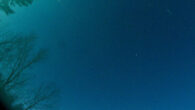 The February 2021 fireball captured by the Global Fireball Observatory camera at Miquelon Lake Provincial Park, Alberta, Canada. Image credit: University of Alberta.