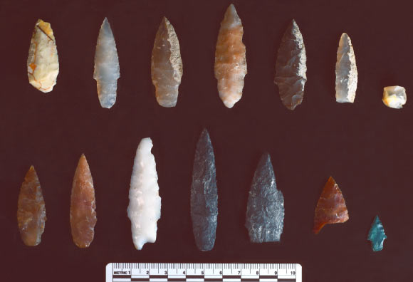 The 15,700-year-old stone projectile points from the Area B of the Cooper’s Ferry site in Idaho, the United States. Image credit: Loren Davis.