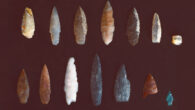The 15,700-year-old stone projectile points from the Area B of the Cooper’s Ferry site in Idaho, the United States. Image credit: Loren Davis.