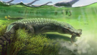 Life reconstruction of Titanochampsa iorii. Image credit: Julia d’Oliveira.