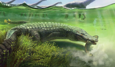 Life reconstruction of Titanochampsa iorii. Image credit: Julia d’Oliveira.