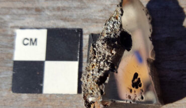 This sample of the El Ali meteorite contains two new minerals: elaliite and elkinstantonite. Image credit: Nick Gessler / Duke University.