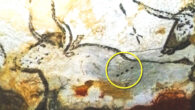 An examples of animal depiction associated with dots. Image credit: Bacon et al., doi: 10.1017/S0959774322000415.
