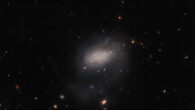This Hubble image shows the dwarf irregular galaxy UGC 7983. Image credit: NASA / ESA / Hubble / R. Tully.