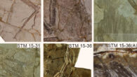 The forelimb feathers of Sapeornis chaoyangensis specimens present different preservations. STM 15-36(A) is the specific detail of forelimb feathers marked with a red rectangle (A) in STM 15-36. Image credit: Zhao et al., doi: 10.3389/feart.2022.1020594.