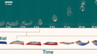 Graphic showing how a cone slowly builds up in an elastomer film, then inverts to launch the film high into the air over the span of less than a second. Image credit: Hebner et al., doi: 10.1126/sciadv.ade1320.