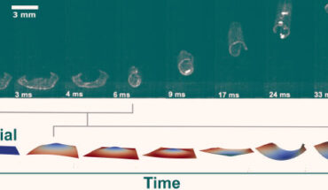 Graphic showing how a cone slowly builds up in an elastomer film, then inverts to launch the film high into the air over the span of less than a second. Image credit: Hebner et al., doi: 10.1126/sciadv.ade1320.