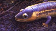 Life reconstruction of Funcusvermis gilmorei. Image credit: Andrey Atuchin / U.S. National Park Service / Petrified Forest Museum Association.