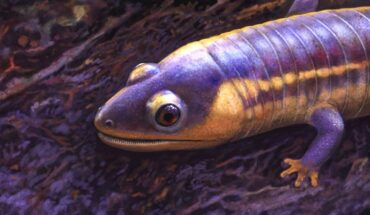 Life reconstruction of Funcusvermis gilmorei. Image credit: Andrey Atuchin / U.S. National Park Service / Petrified Forest Museum Association.