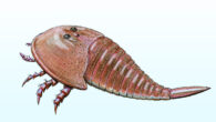Life reconstruction of a hibbertopterid sea scorpion. Image credit: DiBgd / CC BY-SA 4.0.