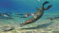 Life reconstruction of Turnersuchus hingleyae. Image credit: Júlia d’Oliveira.