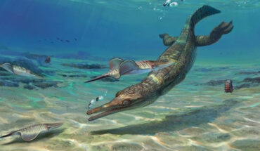 Life reconstruction of Turnersuchus hingleyae. Image credit: Júlia d’Oliveira.