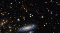This Webb image shows LEDA 2046648, a spiral galaxy one billion light-years away in the constellation of Hercules. Image credit: NASA / ESA / CSA / Webb / A. Martel.