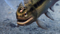 Life reconstruction of Coccocephalus wildi. Image credit: Márcio L. Castro.
