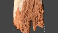 Reconstruction of the distal end of the Manis projectile point. Image credit: Waters et al., doi: 10.1126/sciadv.ade9068.