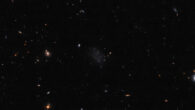 This Hubble image shows Donatiello II (center), an ultra-faint dwarf galaxy some 11.4 million light-years away in the constellation of Sculptor. Image credit: NASA / ESA / Hubble / B. Mutlu-Pakdil / G. Donatiello.