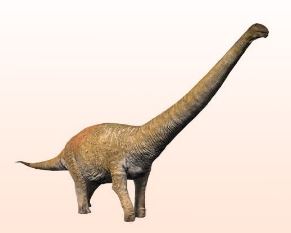 An artist’s reconstruction of Notocolossus gonzalesparejasi, a sister taxon of Chucarosaurus diripienda. Image credit: Nobu Tamura, http://spinops.blogspot.com.