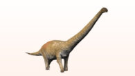 An artist’s reconstruction of Notocolossus gonzalesparejasi, a sister taxon of Chucarosaurus diripienda. Image credit: Nobu Tamura, http://spinops.blogspot.com.