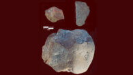 Oldowan tools from the site of Nyayanga in Kenya: a dorsal flake, a ventral flake, and a core. Image credit: Plummer et al., doi: 10.1126/science.abo7452.