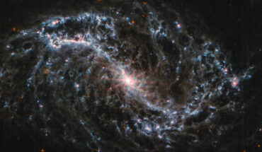 This Webb image shows NGC 7496, a barred spiral galaxy some 24 million light-years away in the constellation of Grus. Image credit: NASA / ESA / CSA / Webb / Judy Schmidt.