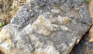 The 166-million-year-old theropod dinosaur footprint from the Cleveland Basin, Yorkshire, UK. Image credit: Hudson et al., doi: 10.1144/pygs2022-008.