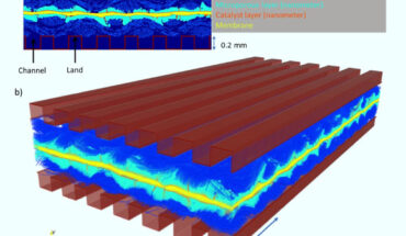 The PEMFC domain generated by Wang et al.: (a) 2D and (b) 3D rendering of the segmented membrane electrode assembly with artificially overlayed flow channels; the gas channel and land contacting the microporous gas diffusion layer are labeled. Image credit: Wang et al., doi: 10.1038/s41467-023-35973-8.