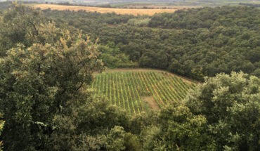 The 200-m-wide crater at the Domaine du Météore-vineyard in France. Image credit: Frank Brenker, Goethe University Frankfurt.