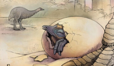 An artist’s impression of elephant birds in their natural habitat, Madagascar. Image credit: Bonnie Koopmans.