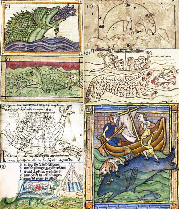 Details of known or suspected aspidochelones in selected medieval manuscripts. Image credit: McCarthy et al., doi: 10.1111/mms.13009.
