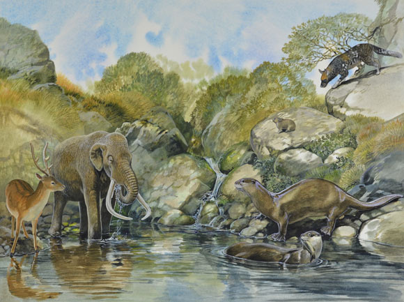 Sardinian dwarf mammoth, Sardinian giant otter, deer, Sardinian dhole and giant pica. Image credit: Peter Schouten, http://studioschouten.com.au.