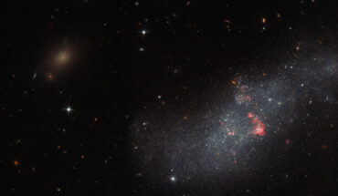 This Hubble image shows UGCA 307, a dwarf galaxy some 26 million light-years away in the constellation of Corvus. Image credit: NASA / ESA / Hubble / R. Tully.