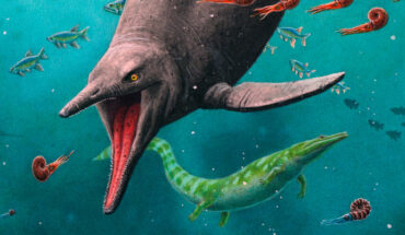 Reconstruction of the earliest ichthyosaur and the 250-million-year-old ecosystem found on Spitsbergen. Image credit: Esther van Hulsen.
